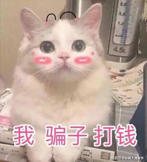 留学前需要了解的30件小事