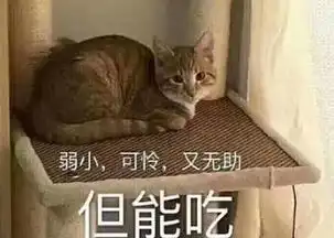 这部有毒动画我想去看一下