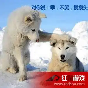 摸头不哭表情包安慰