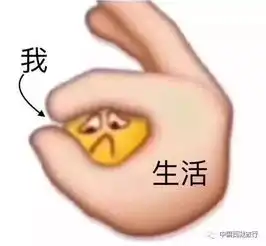 来进被窝表情包被窝