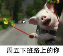 微信动图表情包搞笑吵架