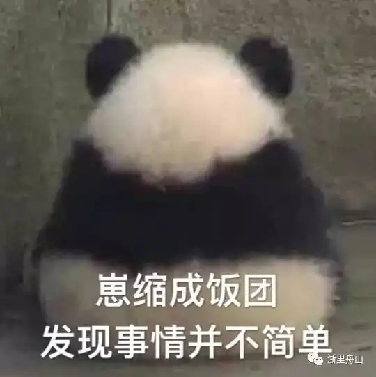 大鼻孔猥琐熊猫表情包