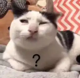 排队200桌也想吃1000次的毛肚火锅