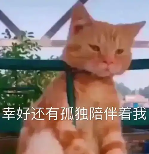 沙雕套路表情包给我点钱花花