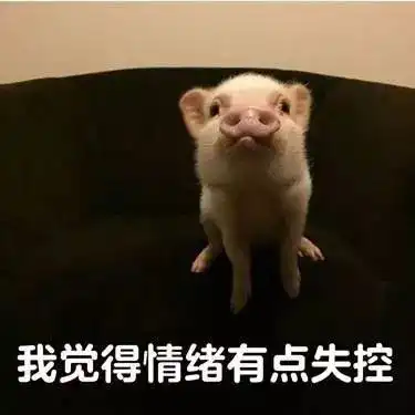 叫停作业家长签字家长纷纷炸锅,表示真想把这条消息甩到班级群