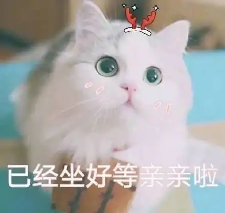猫咪表情包撩老公系列爱你呦我好想你