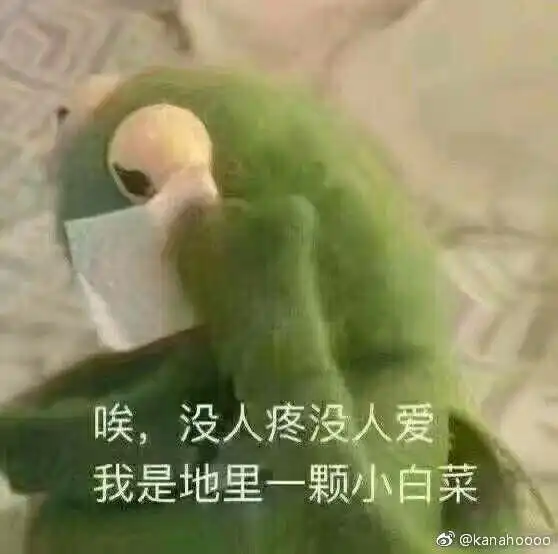 有哪些好玩的表情图