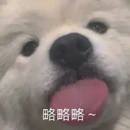 表情包搞笑沙雕动图暴雨