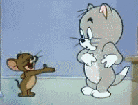 辛苦的图片表情包动态猫