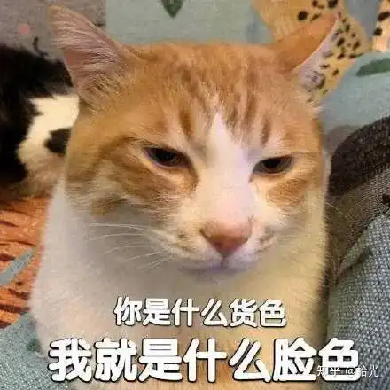 可爱表情包可爱又撩人的表情包可爱到爆的表情包图片感觉我们的关系变淡了需要一杯奶茶甜回来