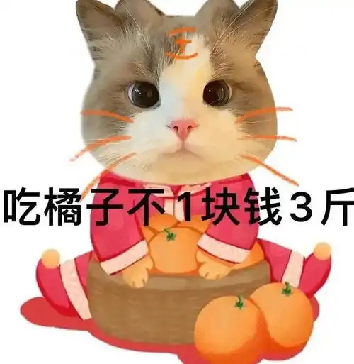 来进被窝表情包钻进