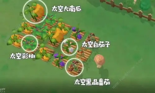 摩尔庄园太空飞行器怎么得太空种子怎么出变异