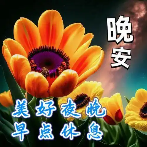 晚上好图片精选祝福语,晚上好祝福语,晚上好幸福暖心的问候图片