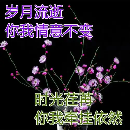 真挚温馨的早上好动态祝福图片祝福暖心早安动态表情包