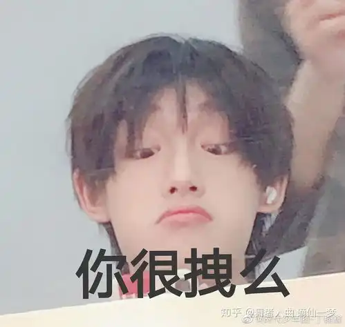 你们相册里有哪些tnt的神图或表情包