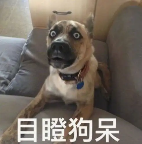 科目一还没考过就上高速,结果开个雨刷就撞了......廉江网友真沙胆