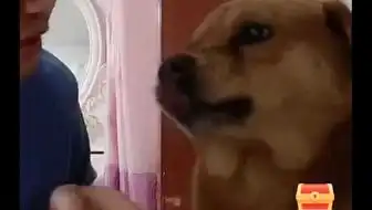 世界上真有预言家吗