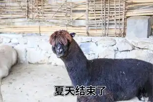 当我把九皇山做成了表情包...