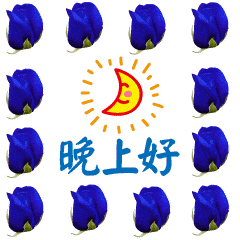 晚上好表情包晚上好表情大全