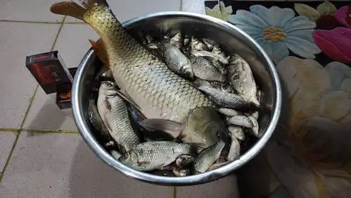 铁锅炖自己表情包集杂鱼