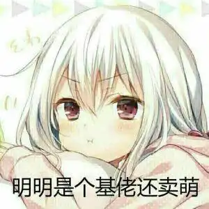 是否很多动漫宅都对带把妹子感兴趣