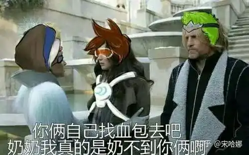 如何看待守望先锋的辅助玩家