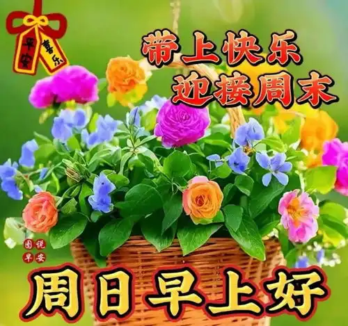 选的早安问候祝福图片精选,微信最新早安温馨祝福语
