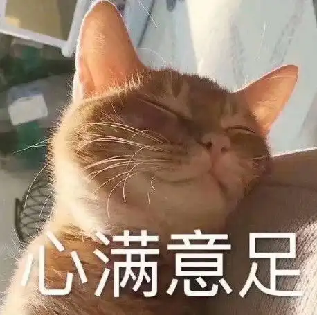 无水印萌宠卖萌专用表情包被生活压秃了脑阔