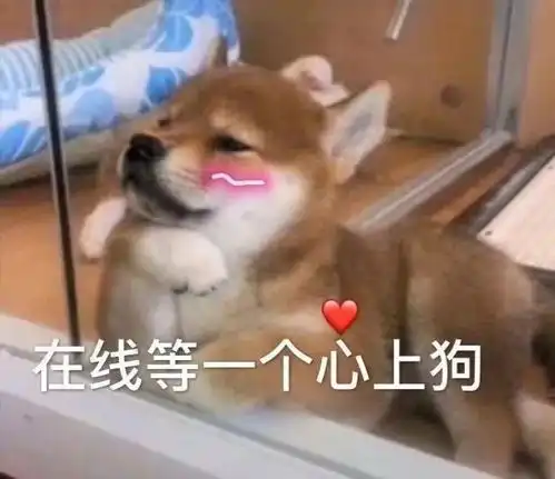 抖音热门表情包大全晚安的意思就是