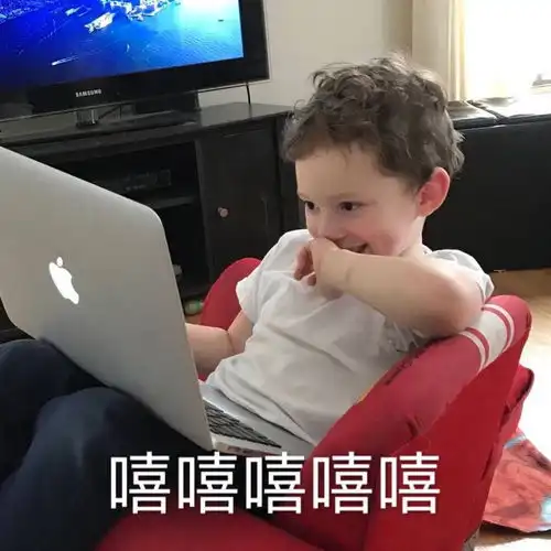 我想发泰国的药品美妆车,有没有人上