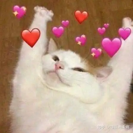 流浪猫躲车底,演员宋祖儿教科书式救助别让猫咪的生命在此处卡壳