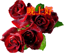 适合睡前群发晚上好问候表情包温馨晚安问候语简短一句话