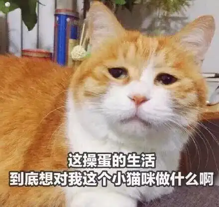 发现海上牧云记一个bug