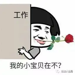 婚恋底气2019年邛崃市春风行动大型招聘会开始啦你值得拥有