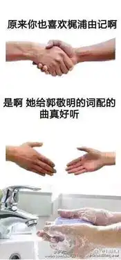 洗手的表情包主人