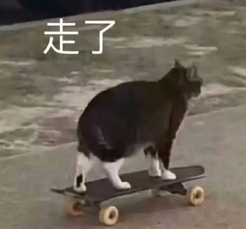 玛维,树人双双登顶更新之后,ta才是酒馆中最大的赢家