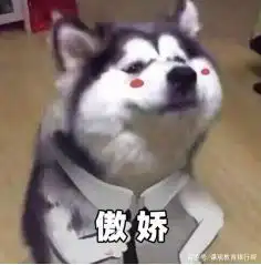 健忘图片表情包搞笑二哈