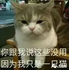 搞笑微信表情包猫咪表情