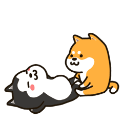 让我看看谁还是单身