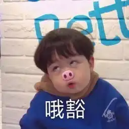 沙雕表情感觉累了就放空自己