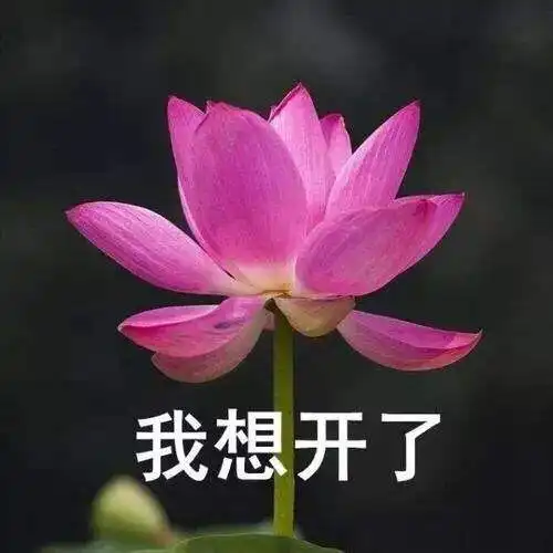 今天不吐槽了,夸一下我老公