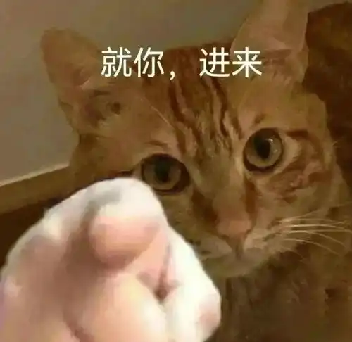 数模论文转发表大放价,这波保研稳了