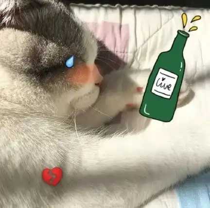 没钱就不要出来乱走