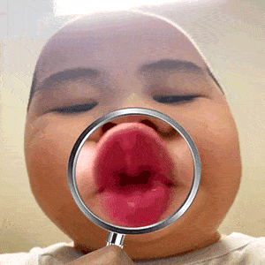 哈哈哈我不活啦