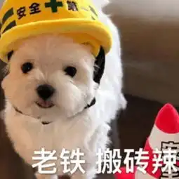 斗图搞笑专用表情包宝贝,干了这杯奶,忘了拿个仔吧