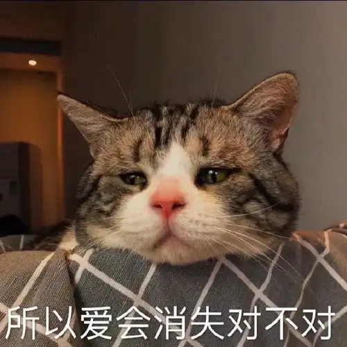 搞笑gif哪位朋友知道这是哪家医院吗,我想去搞对象