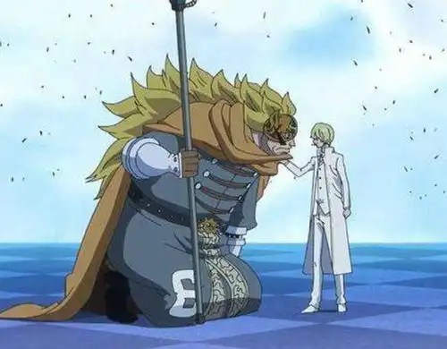 海贼王给你一个机会,最想让哪个角色消失,我选择桃之助