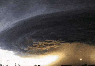 搞笑gif趣图朋友长这么大,没人敢欺负他