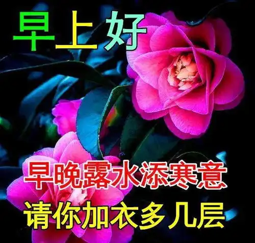 冬天早上好图片