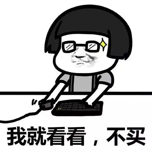 打死我都不养猫